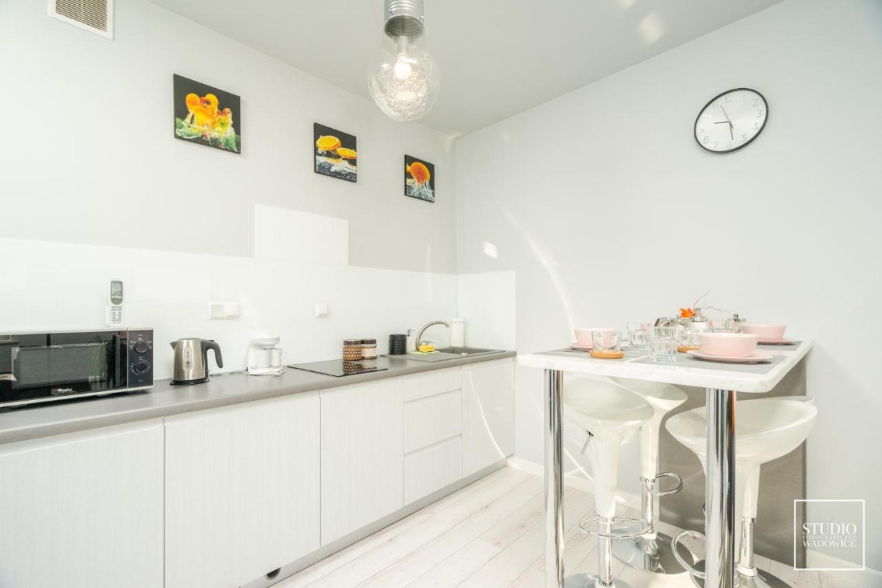 Apartament Modern Leilighet Wadowice Eksteriør bilde